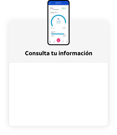 consulta tu información